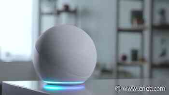 Alexa Easter Eggs: A Complete Roundup of Fun Things to Ask Your Amazon Echo     - CNET