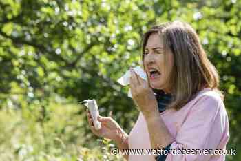 7 Hay Fever tips as pollen bomb set to hit parts of the UK