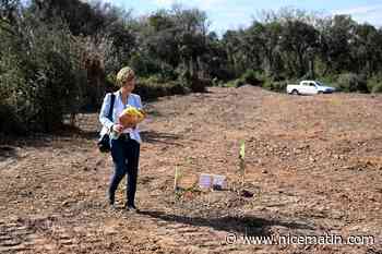 En France, la douleur d'une fille de Harkis face à la tombe enfin retrouvée de sa soeur