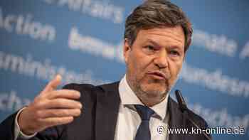 Geschäfte über Drittstaaten: Habeck will illegale Umgehung von Russland-Sanktionen unterbinden