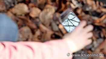 „Woher weiß der Spiegel das?“ – Tiktok-Video geht viral