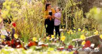 People soak up the spring sunshine in Gateshead's Saltwell Park over the Easter weekend