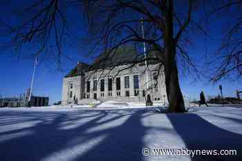 Doctor says health wait times now permanent after high court rejects challenge