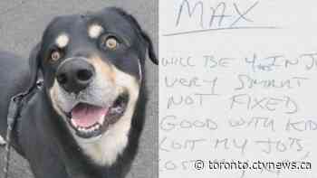 Toronto shelter kicks off search for family of dog abandoned with handwritten note