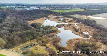 I visited the nature reserve three miles from Newcastle city centre home to otters, deer and hundreds of birds