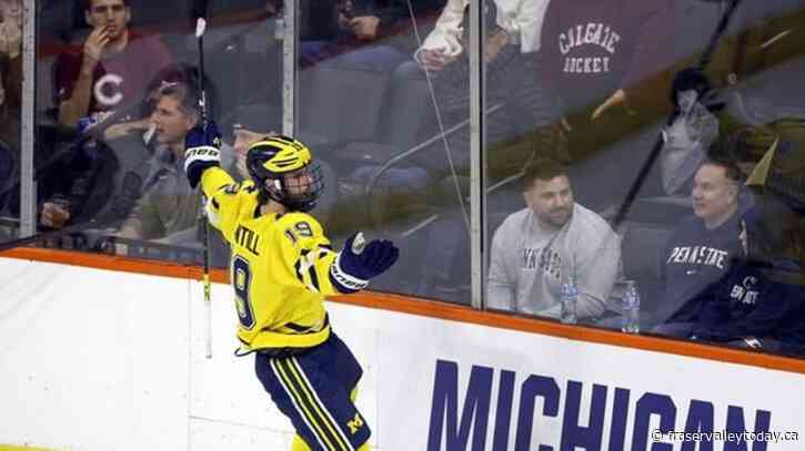 Michigan freshman Adam Fantilli named Hobey Baker winner