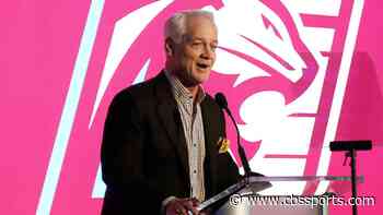 Cowboys legend Daryl Johnston tabbed as new USFL president, excited as league enters Year 2 of rebrand