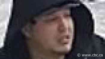 Good Samaritan transports assault victim to hospital