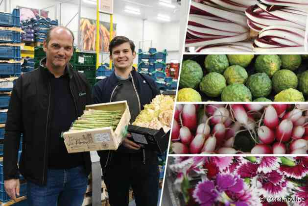 Welkom in de supermarkt van de chefs: “We verkopen aan zeventig Michelinsterren”