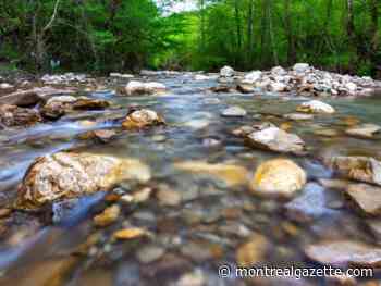 Fleeing father dropped toddler, who died in Vermont brook, police say