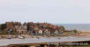 Woman fighting for life in hospital after being hit by a van in Northumberland
