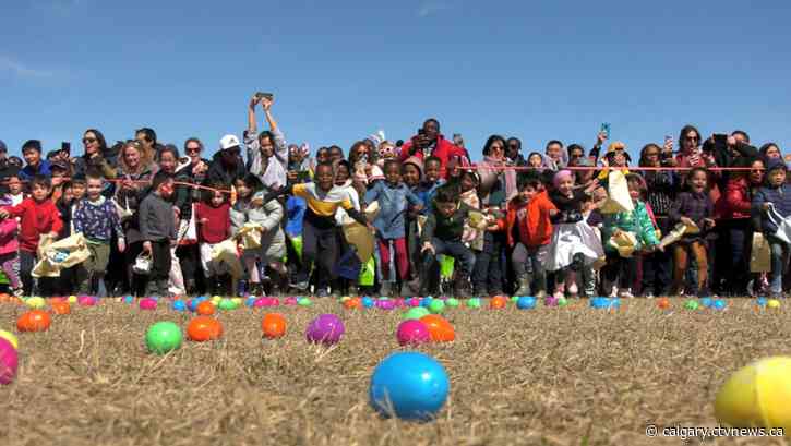 Eggs galore as Beddington Easter hunt draws a massive crowd
