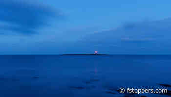 The Seven Essential Elements for Improving Your Photos