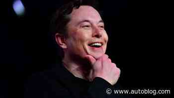 Elon Musk says he's 'dumb way more often than I'd like to be' in Twitter debate