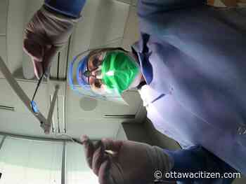 Treasury Board acted in bad faith by delaying dental care negotiations, labour board ruling says