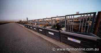 Vytelle to pump $20m more into genetic progress in cattle