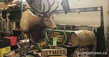 Edmonton area distillery offering reward for return of mascot, Seymour the Elk