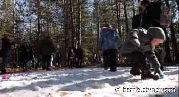 Annual Easter egg hunt returns to Drysdale's Tree Farm