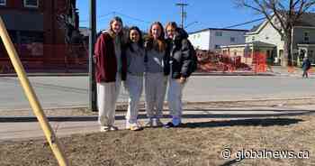 Students recount story of fire that destroyed their Sackville, N.B. apartment