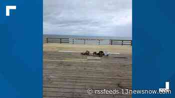 Nags Head Fishing Pier reopens for the season