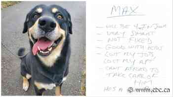 Toronto Humane Society searching for owner of dog abandoned with note pleading for help