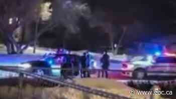 Man stunned, injured by Prince Albert police clinging to life in hospital, family says