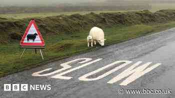 People asked to respect and protect Devon and Cornwall over Easter