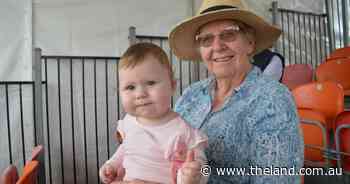 Who's at Sydney Royal cattle judging | Photos