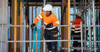 State, territory treasurers push for visa changes for migration boost
