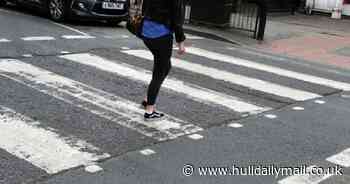 The rules around pedestrian crossings and why they are named after birds