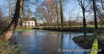 Long Ashton property with park-like gardens and a chapel is for sale