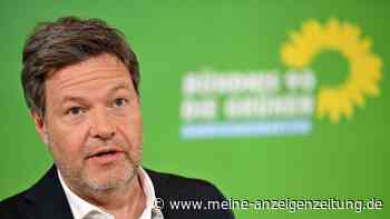 Habeck: Auf Aufgabe statt Twitter-Follower konzentrieren