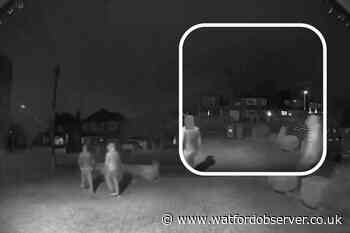 'Unknown person gained access to garage' in Cassiobury Drive