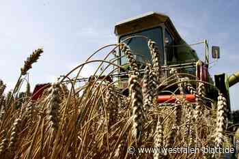 Vereinigte Volksbank im Kreis Höxter setzt auf die Landwirtschaft