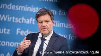Habeck warnt vor Torschlusspanik beim Heizungstausch
