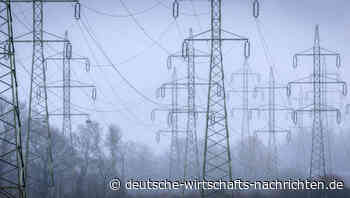 Die E-Gesellschaft – Wenn Politik Mensch und Natur zunehmend unter Strom setzt