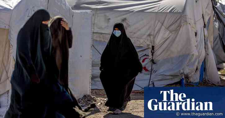 Australia must rescue citizens from ‘dire’ Syrian detention camps, Red Cross says
