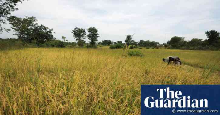 Gunmen kill at least 46 people in attack on rural village in Nigeria