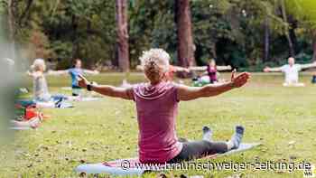 Braunschweig: Bürgersport im Park startet Mitte April