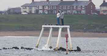 Life inside 'underrated' Northumberland town named one of the UK's cheapest seaside resorts