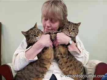 Helen Naslund's legal ordeal after killing her abusive husband made national headlines. She's just been released on parole.