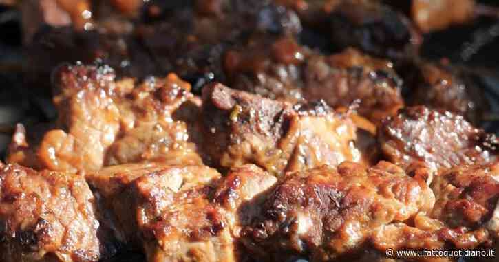 “Non accendere il barbecue con l’alcol, rischi la vita. L’anno scorso ci sono stati 15 morti”: l’appello dei medici in vista delle grigliate di Pasquetta