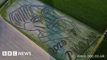 Giant sketch in field marks Picasso death anniversary