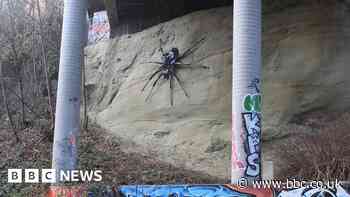 Why this iconic spider sculpture faces removal