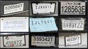 The harm and hurt caused by illegal 'temp license tags'