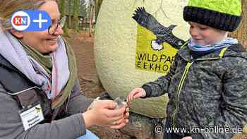 Ostern 2023 im Wildpark Eekholt mit Küken und neuem Kaninchenhaus