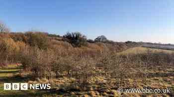 Former Hampshire farm becomes woodland tribute to late Queen