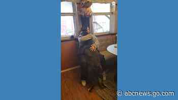 WATCH:  Dog reunites with owner after more than 100 days apart