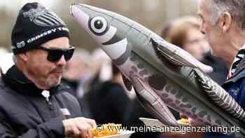 Weil Fisch-Preise explodieren: Britische Gastronomen dürfen wieder Haifisch servieren