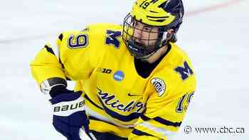 Canadian world junior forward Fantilli named top player in U.S. college hockey